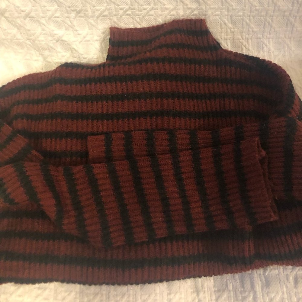 Express striped turtleneck